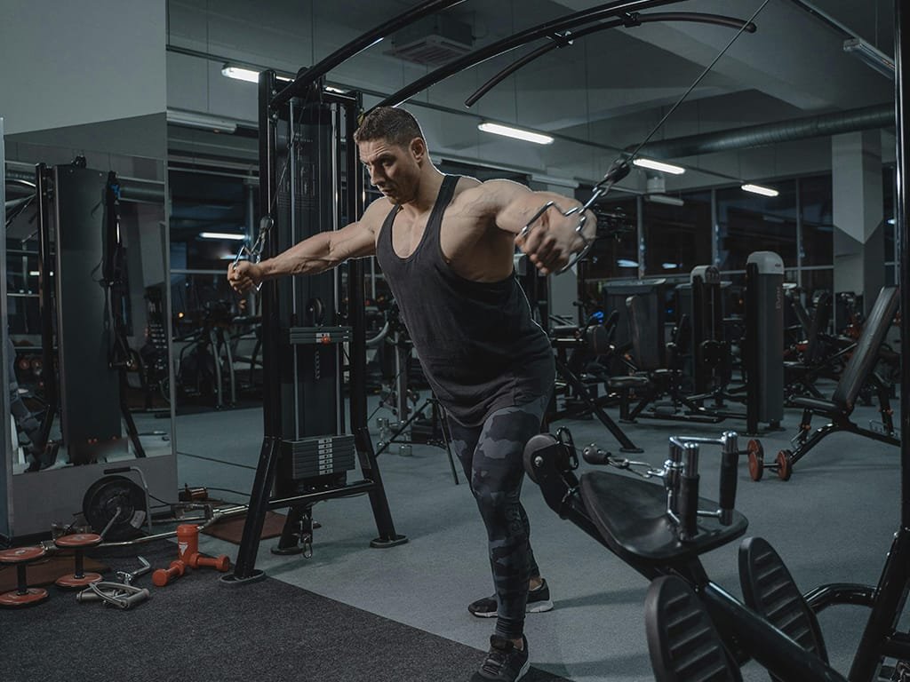 Muscle Growth, Vitamin and Mineral